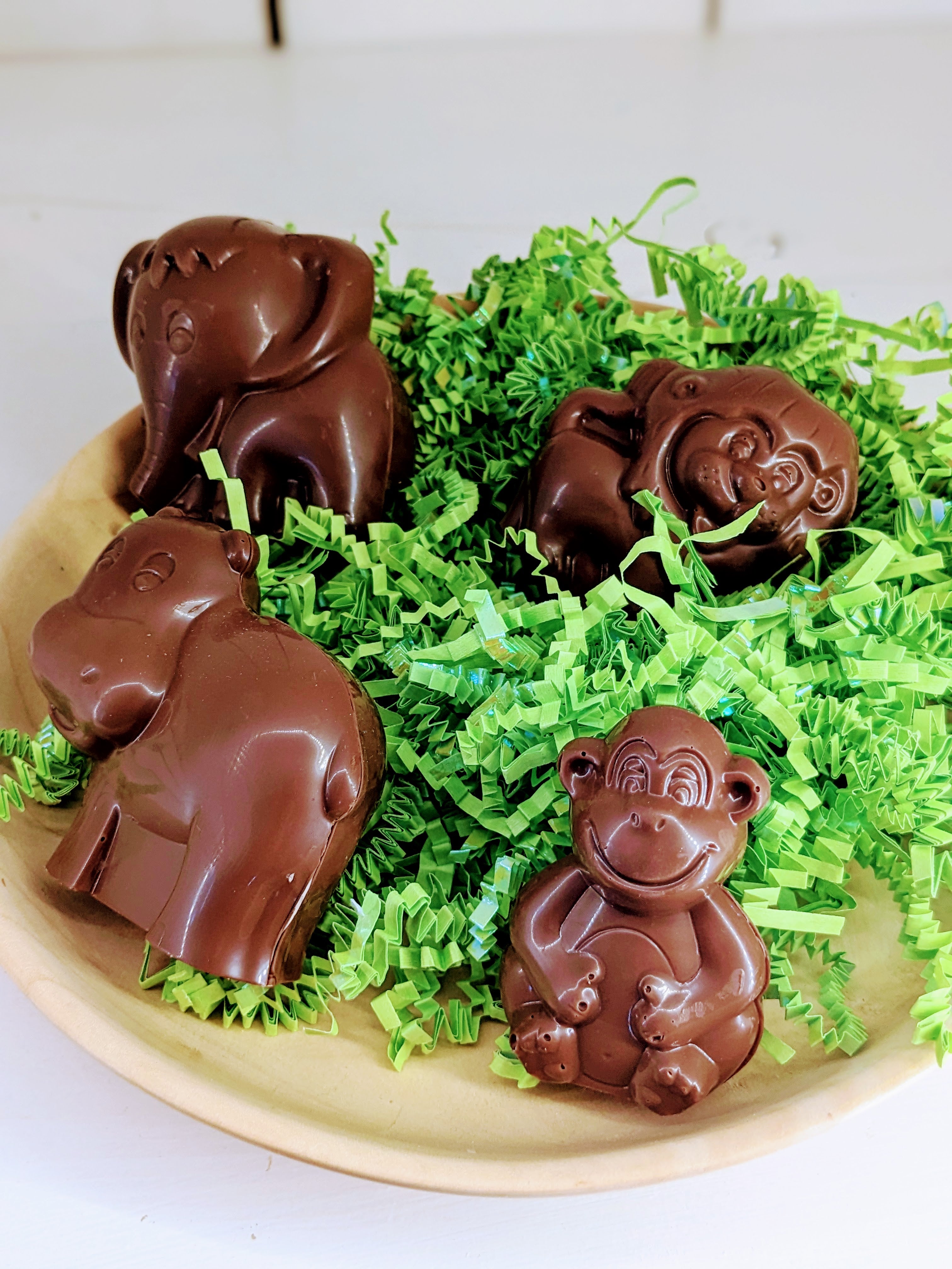 Zoo chocolaté