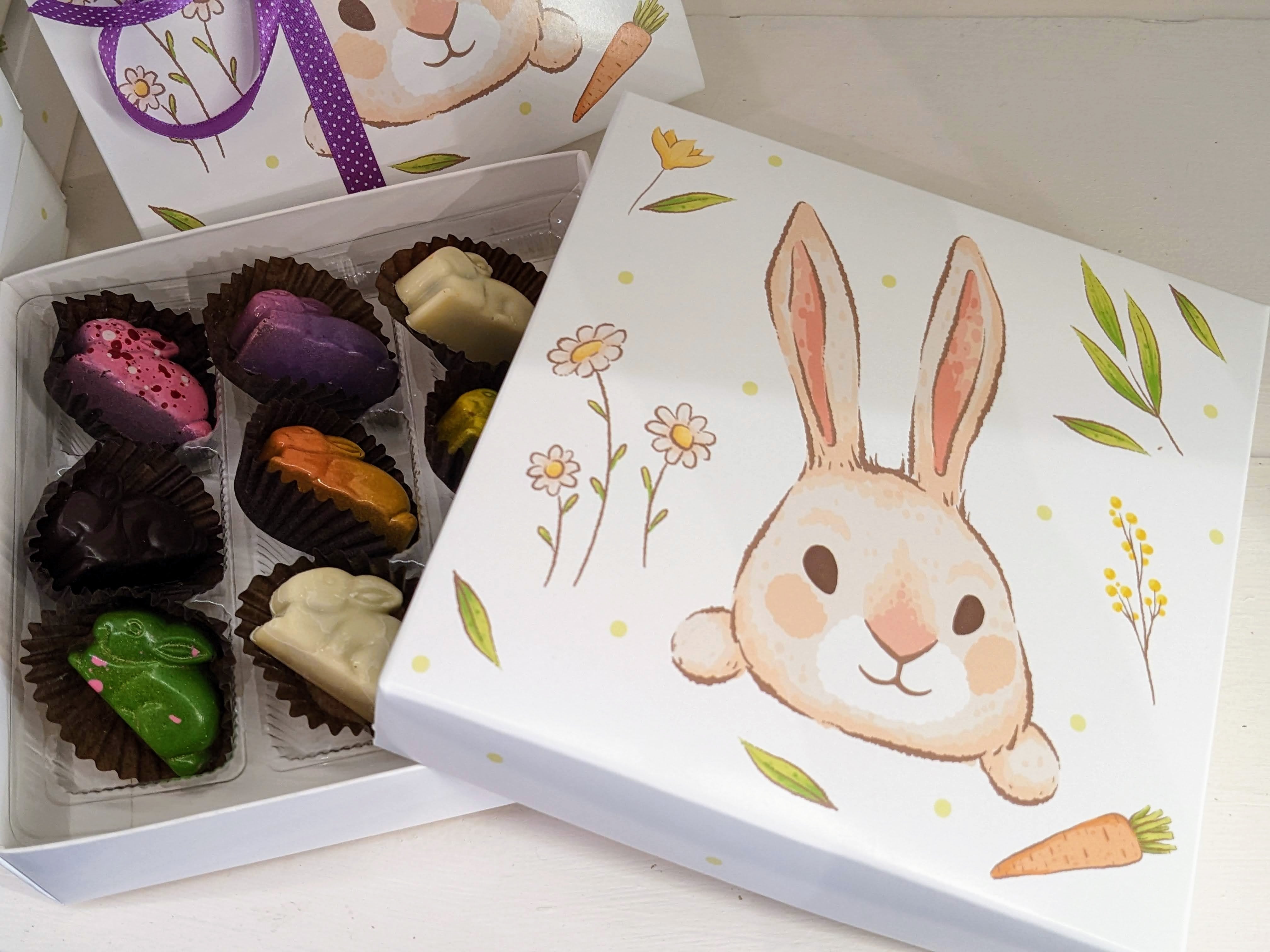 Boitier Lapin
