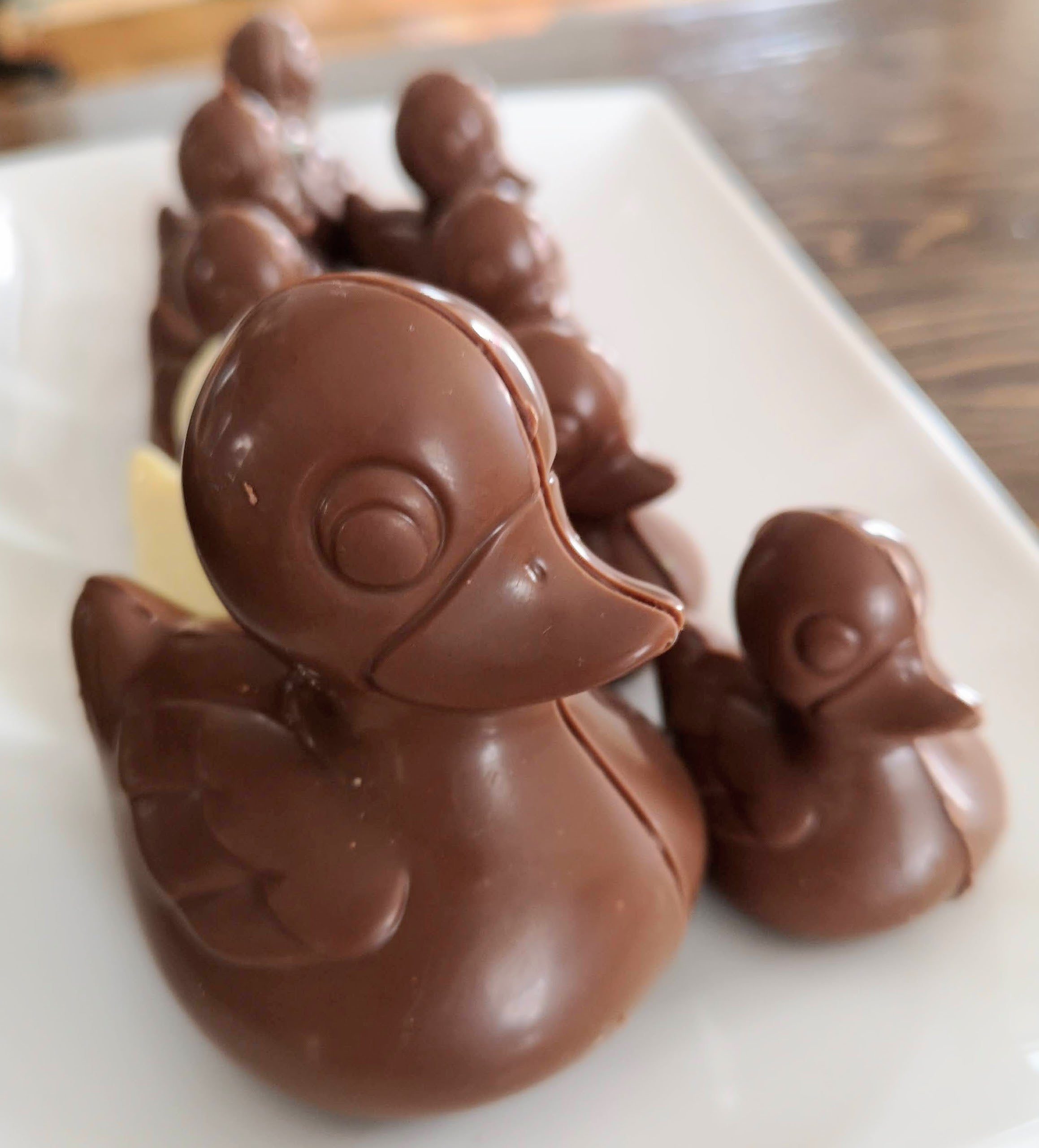 Canard chocolat Gros