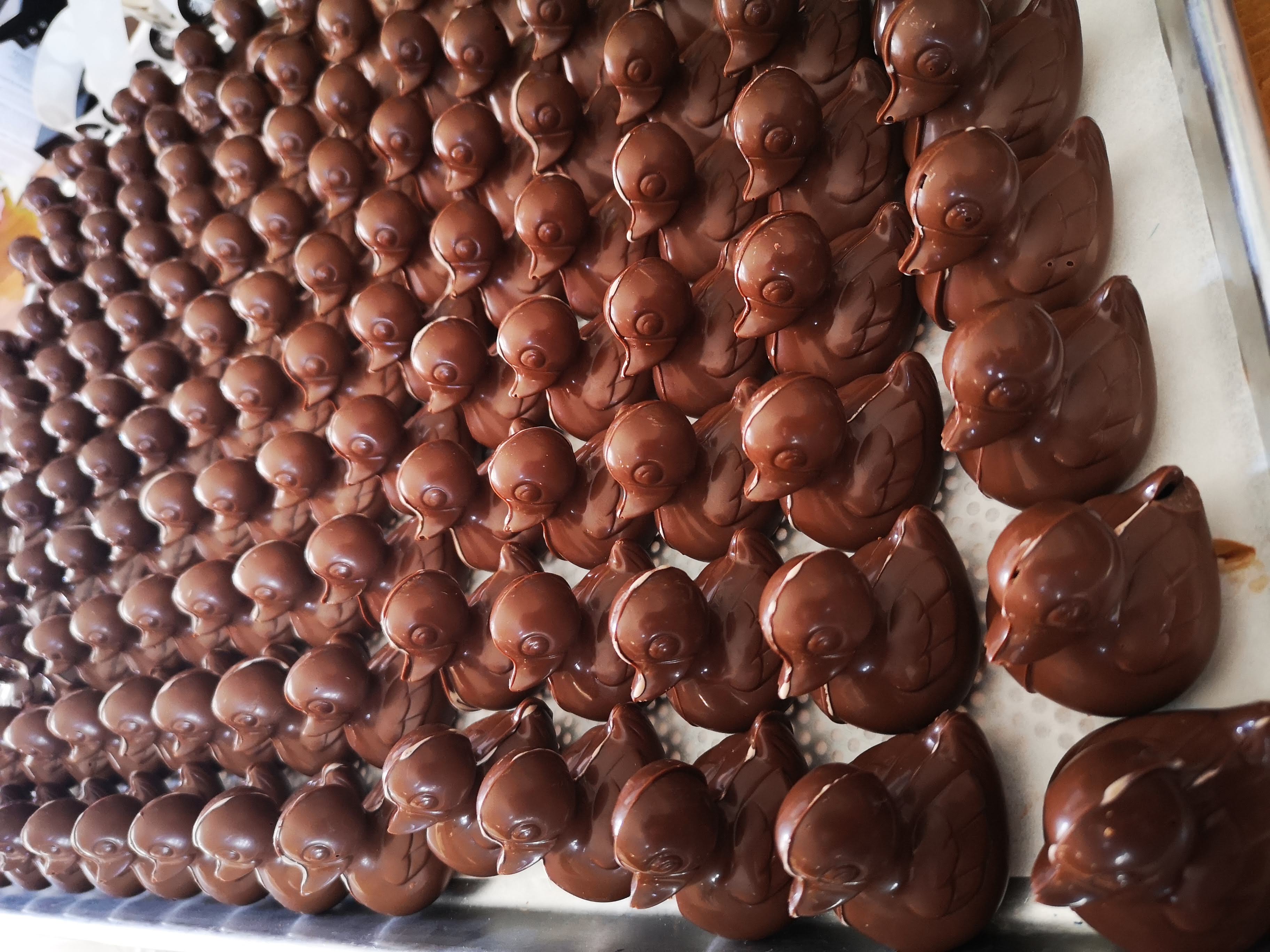 Ptit Canard chocolat